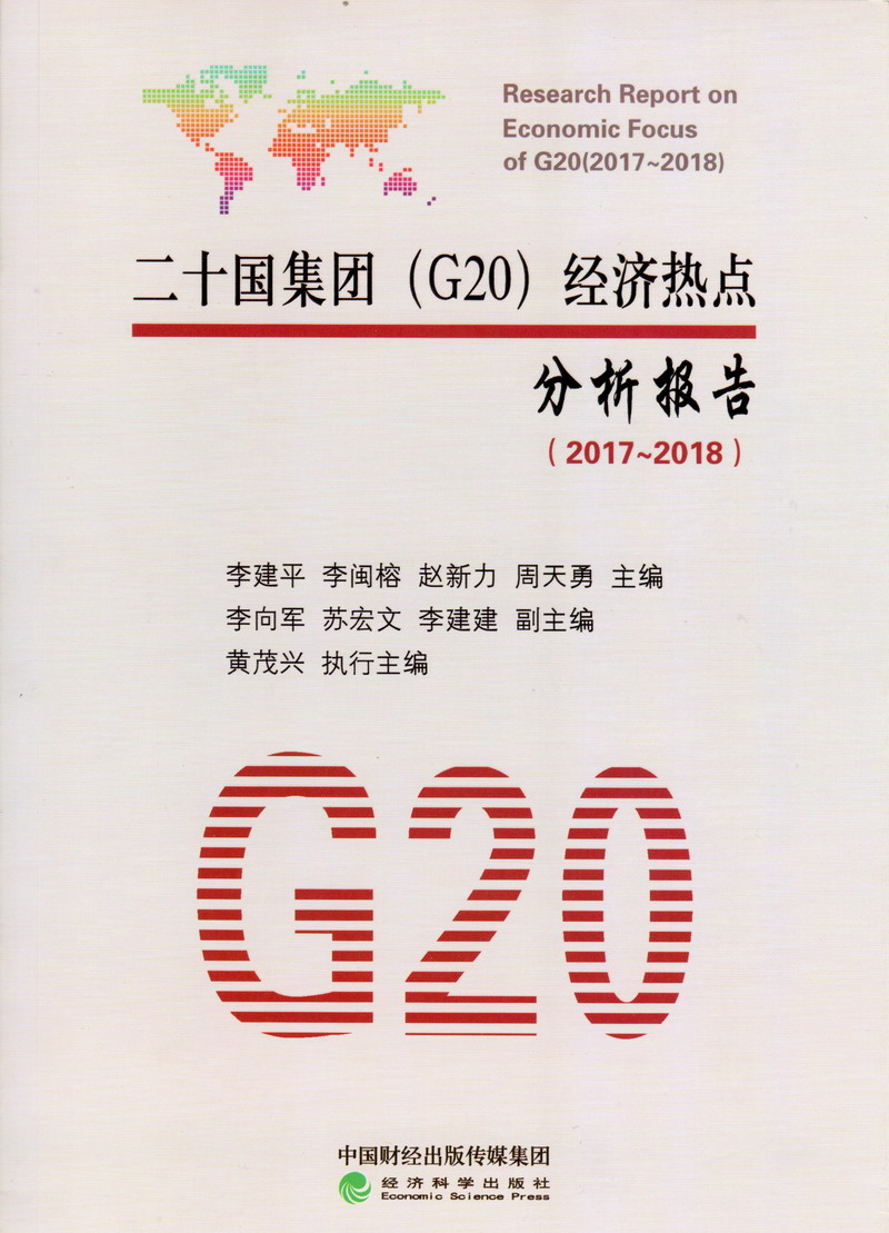 逼操网二十国集团（G20）经济热点分析报告（2017-2018）